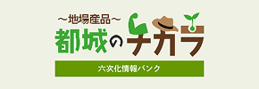 地場産品 都城のチカラ 六次化情報バンク