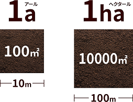 面積のアールについての説明図